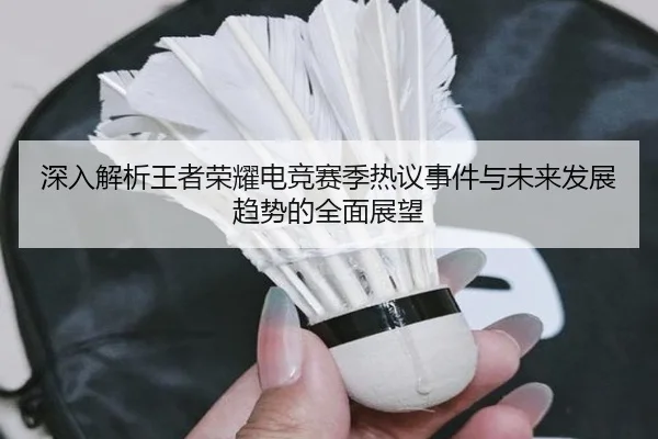 深入解析王者荣耀电竞赛季热议事件与未来发展趋势的全面展望